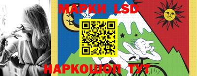 хмурый Гудермес