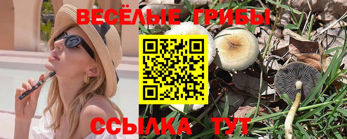 Ликино-Дулёво  Галлюциногенные грибы MAGIC MUSHROOMS  Вход с VPN 